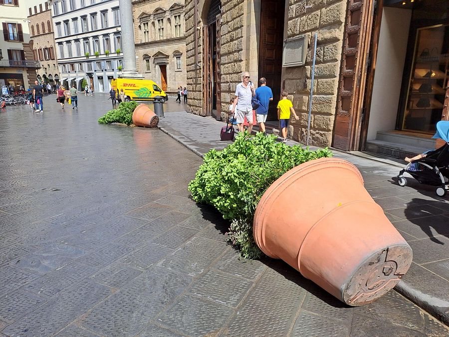 © Ansa  | In Piemonte