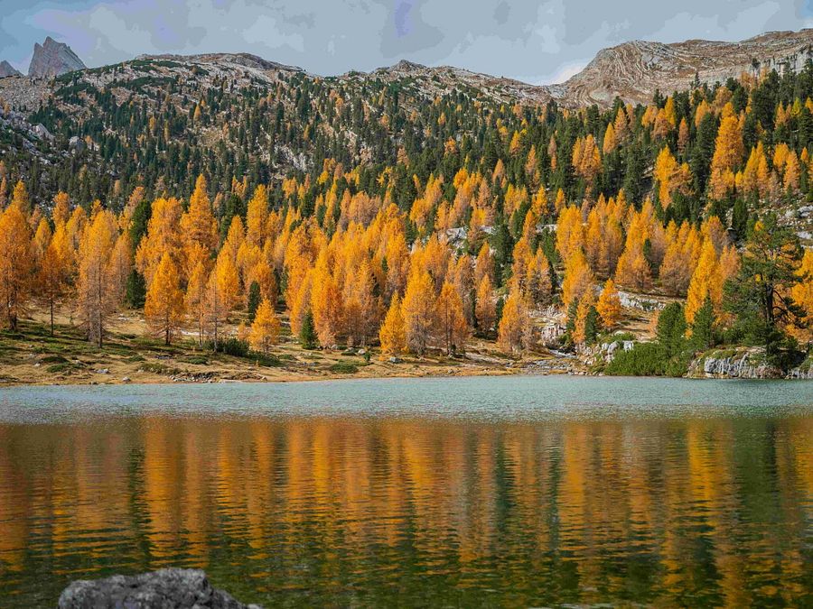 © Ufficio stampa  |  Funes in autunno