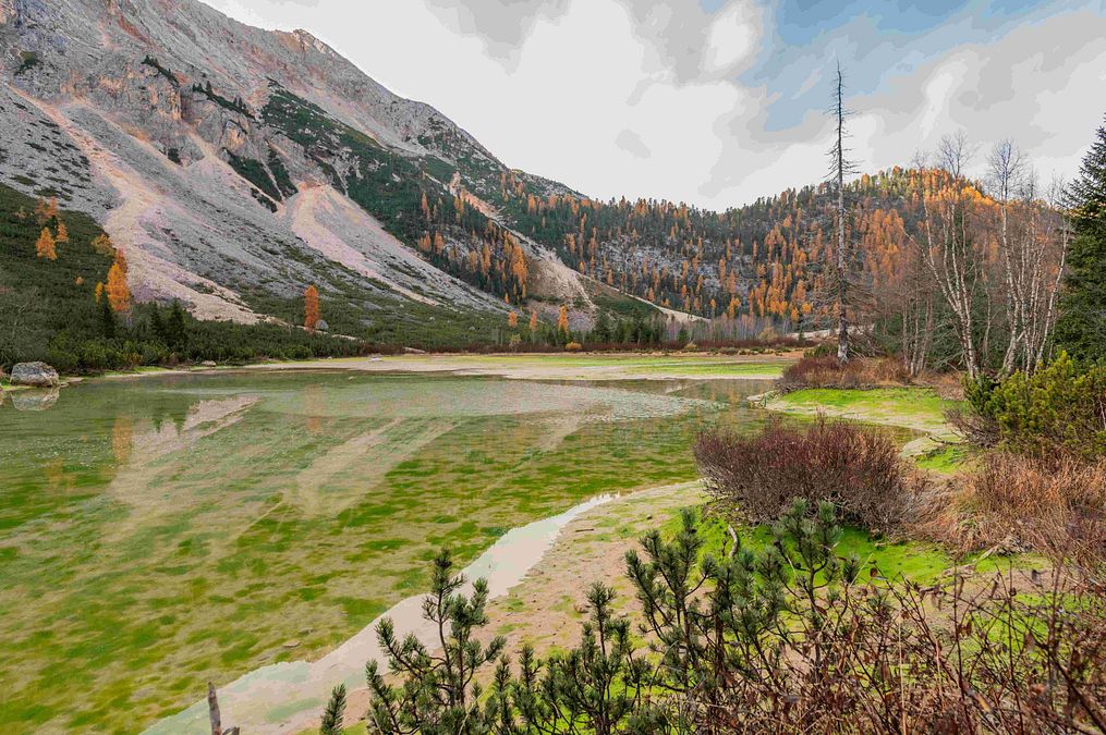 © Ufficio stampa  |  Funes in autunno