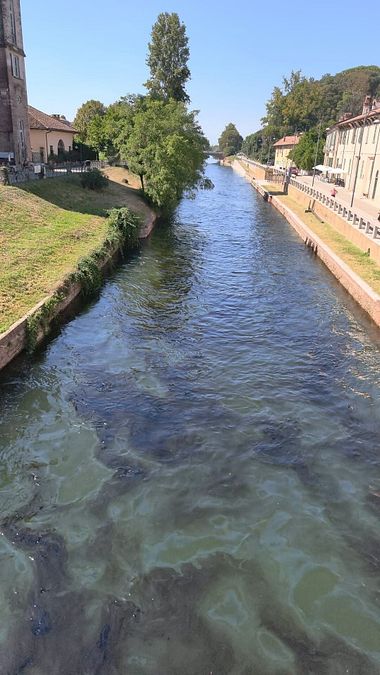 © Facebook  | Trezzano sul Naviglio