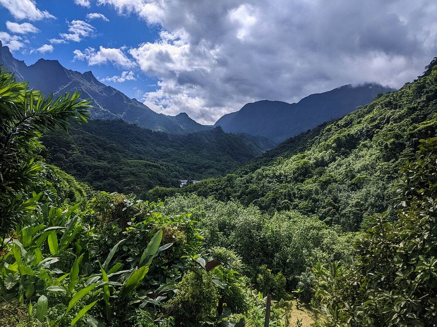 © Istockphoto  | Saint Remy de Provence: sulle tracce di Van Gogh