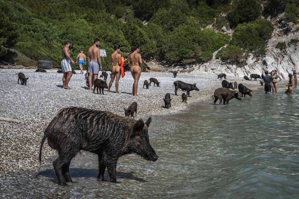 © Afp 