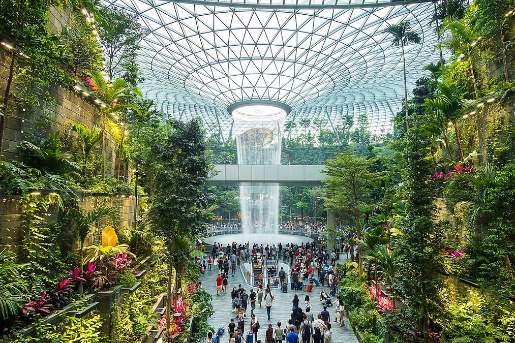 © Istockphoto  |   Shiseido Forest Valley, Singapore -