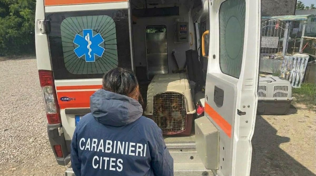 © Carabinieri 