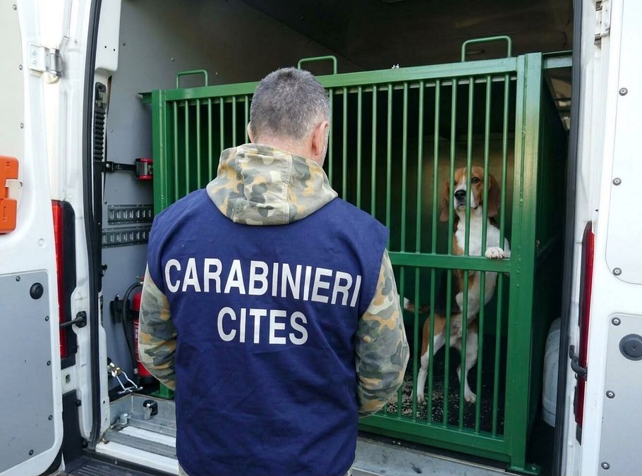 © Carabinieri 