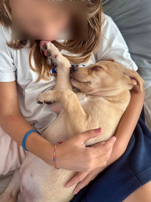 © Instagram  | Giulietta, la nuova cagnolina di Silvia Provvedi