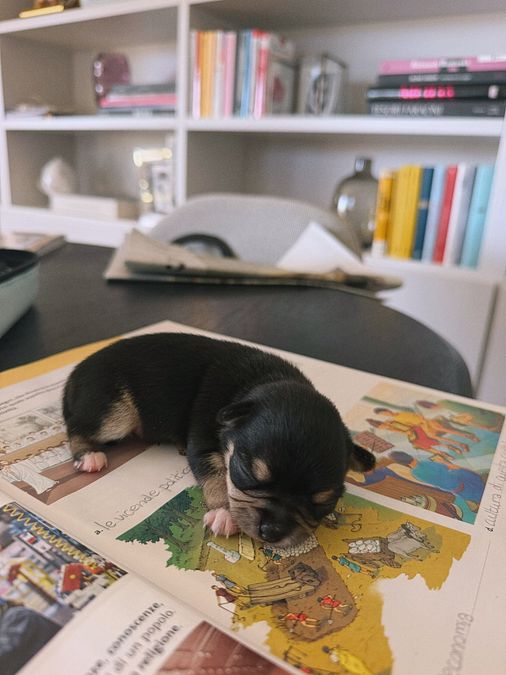 © Instagram  | Le foto condivise da Rocio Munoz Morales