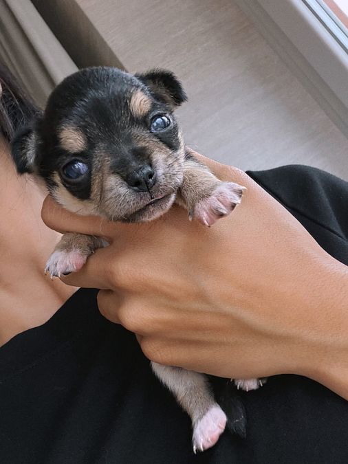 © Instagram  | Le foto condivise da Rocio Munoz Morales