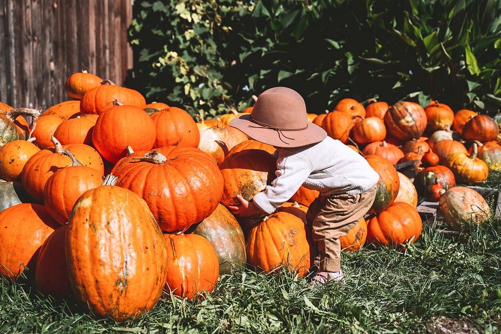© Istockphoto 