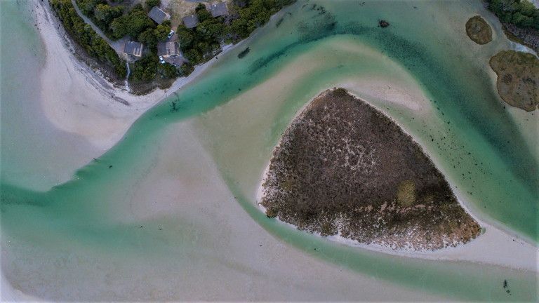 © Istockphoto  | Gansbaa, Sudafrica 