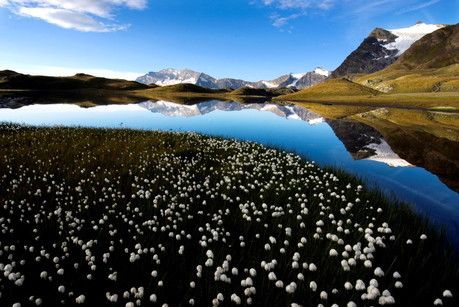 © Ufficio stampa  | Ceresole Reale