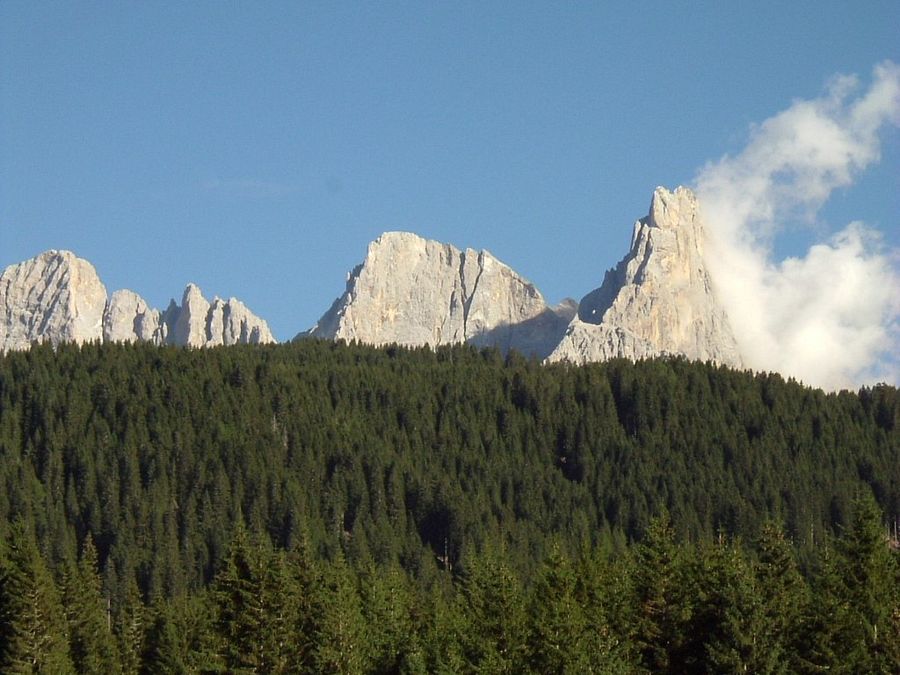 © Ufficio stampa  | Val di Fiemme
