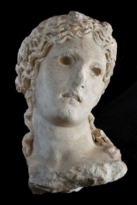   |  Immagini della testa identificata con il dio Dioniso