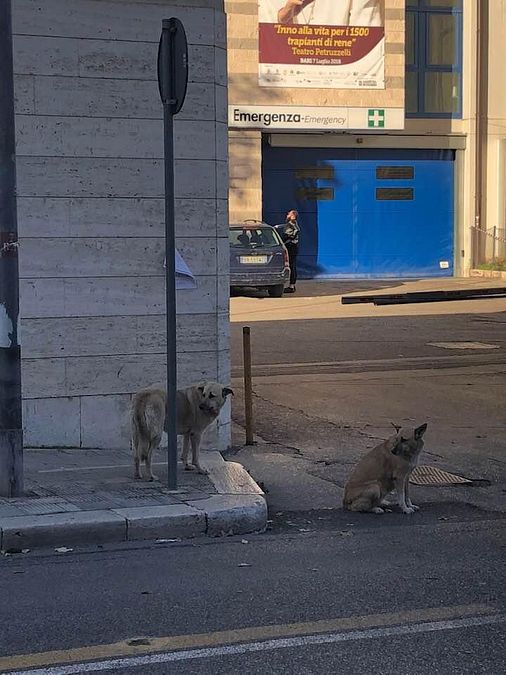 © facebook 