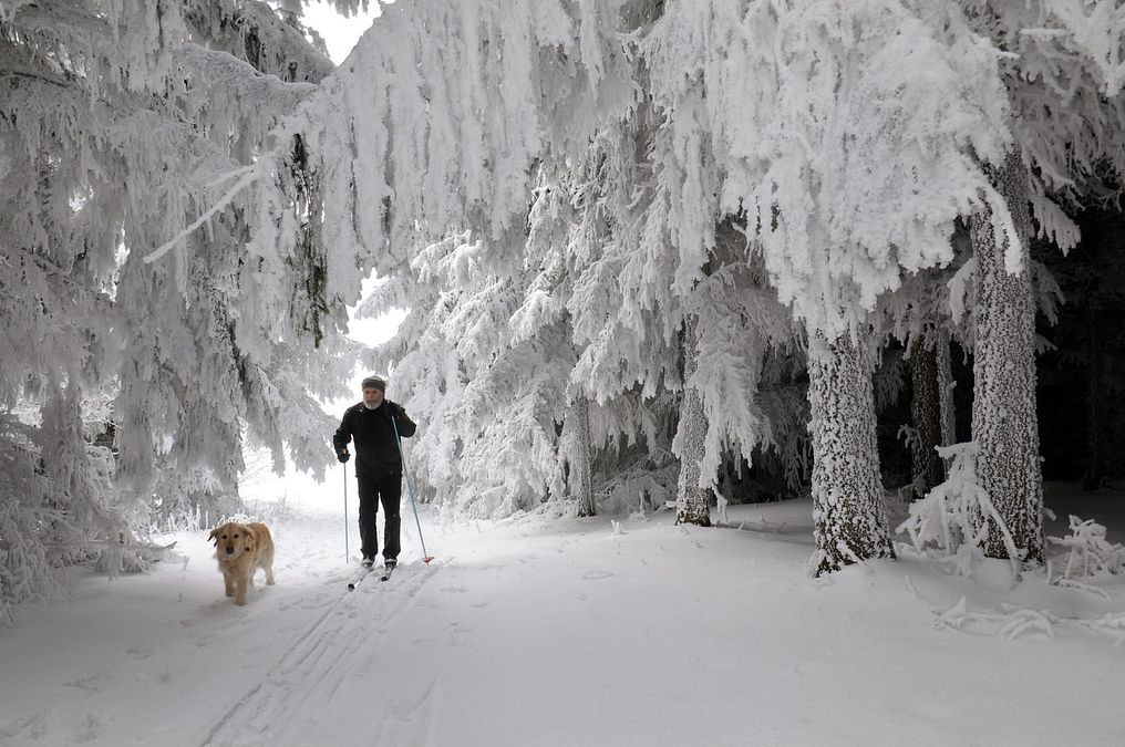 © istockphoto  | fare movimento in montagna è un ottimo modo per "smaltire" le calorie.