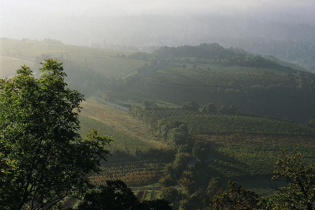 © ente-del-turismo 