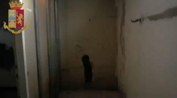 © da-video 