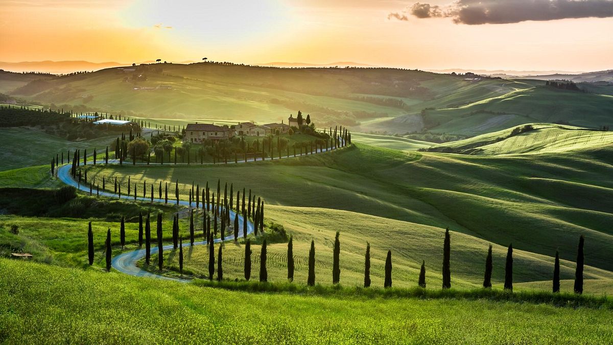 © tripadvisor 