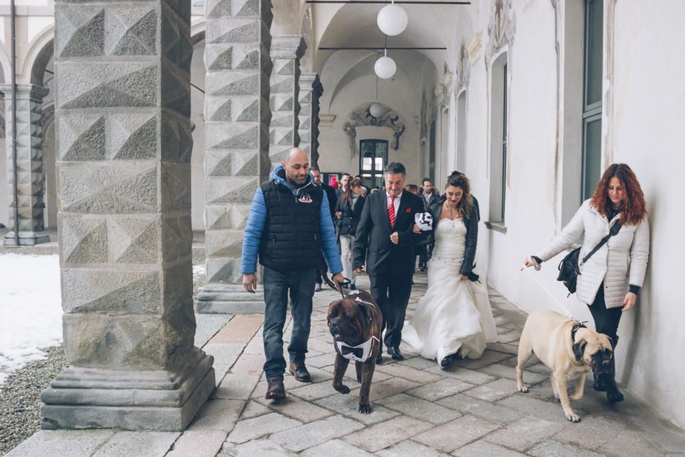 © ufficio-stampa  | ©www.weddingdogsitter.com. Ogni riproduzione è severamente vietata