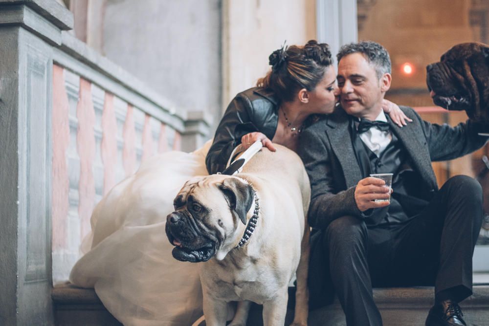 © ufficio-stampa  | ©www.weddingdogsitter.com. Ogni riproduzione è severamente vietata
