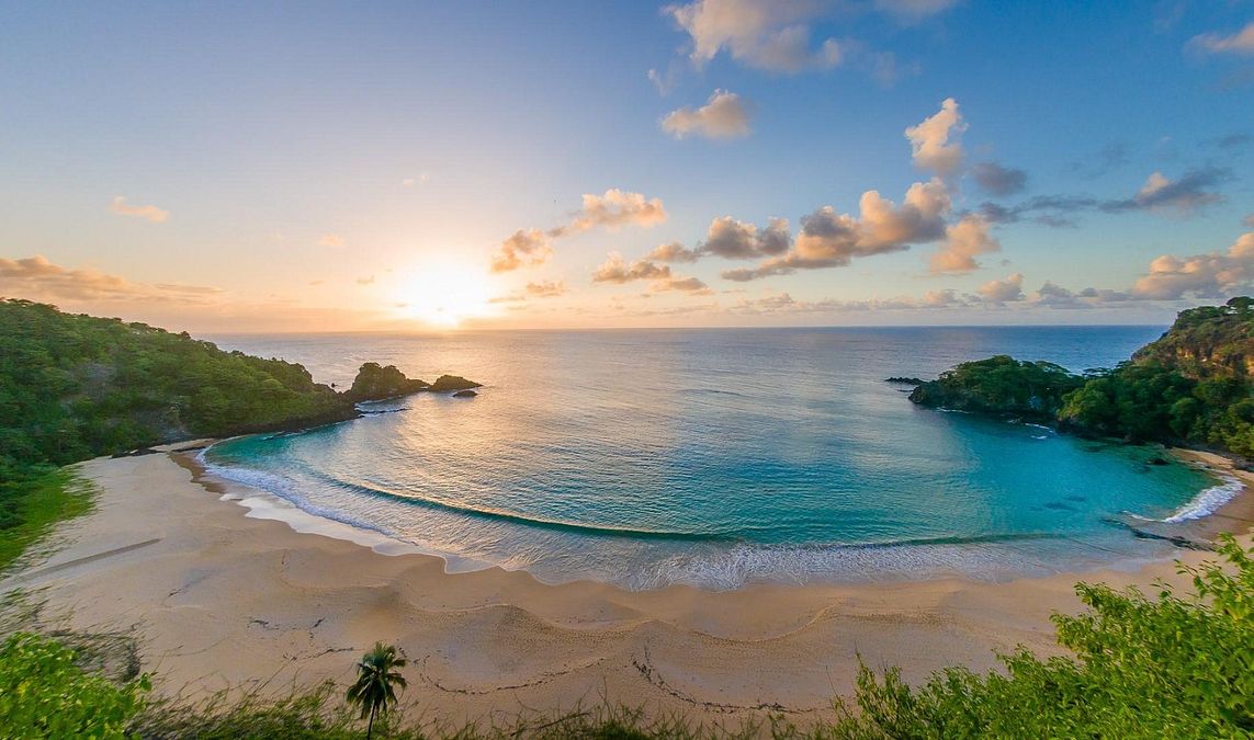© tripadvisor 