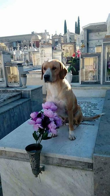 © facebook 