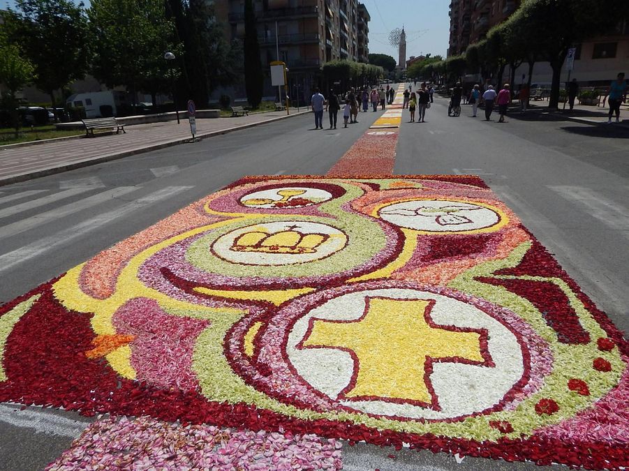 © tgcom24  | Il tappeto di petali di fiori più grande del mondo (Aprilia)