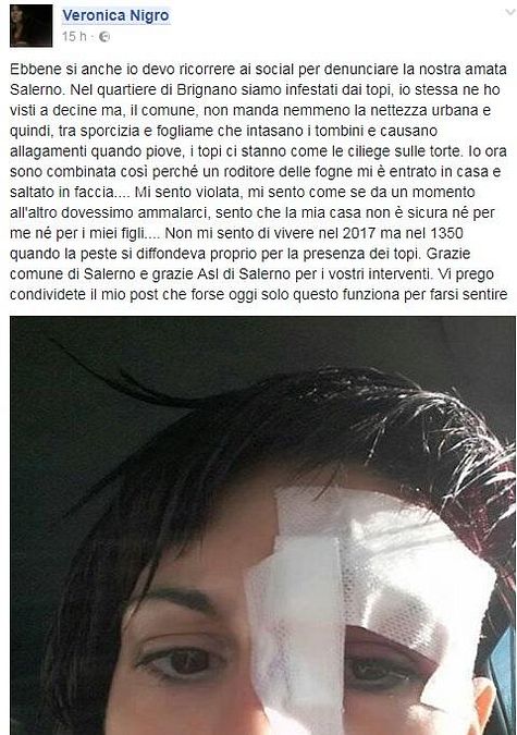 © facebook 