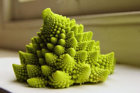 © dal-web  | Broccolo romano - Il primo posto non può che essere dedicato a lui. Noi di Lorenzo Vinci ne abbiamo parlato già tante volte: si tratta del broccolo romano o romanesco. 