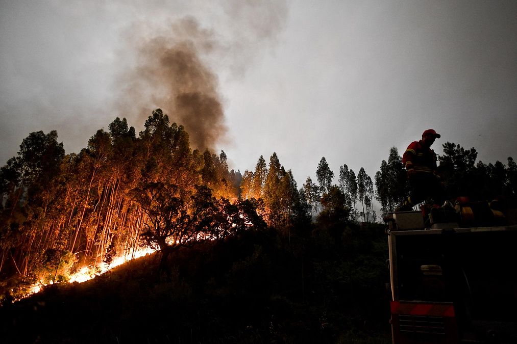 © -afp 