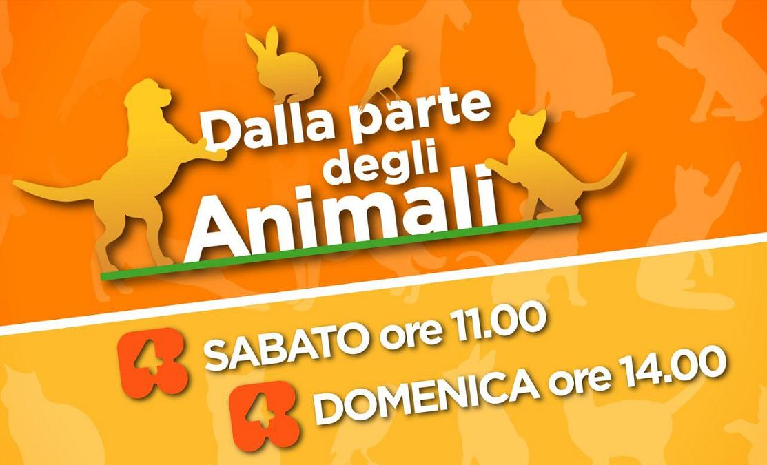© ufficio-stampa-mediaset 