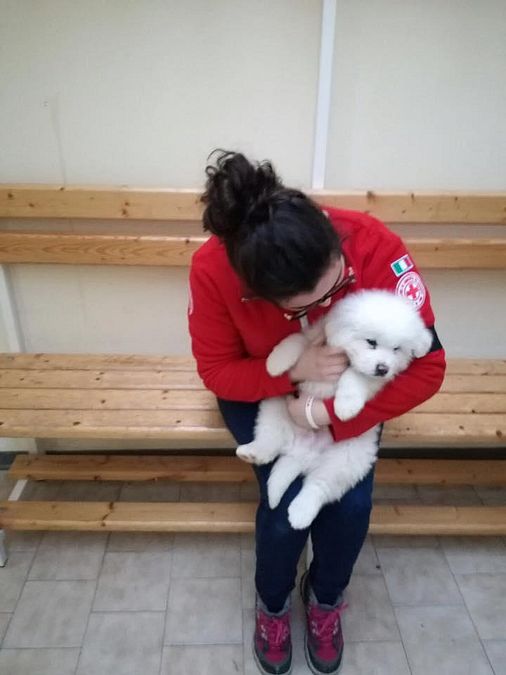 © croce-rossa-italiana 