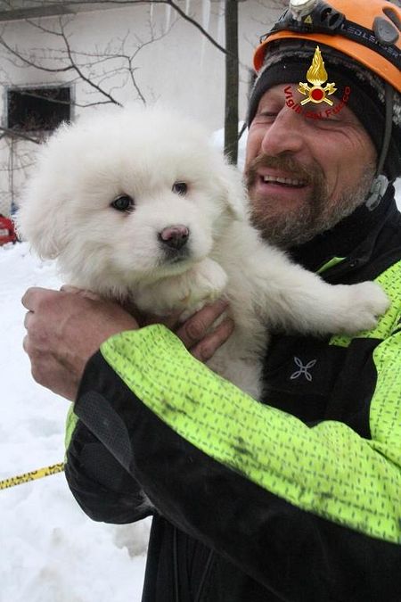 © croce-rossa-italiana 