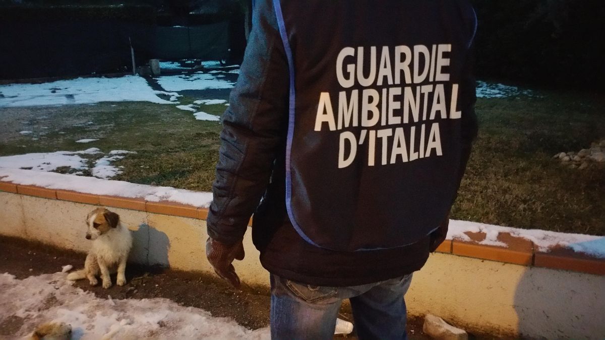 © ufficio-stampa 