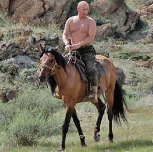 © web  | La foto vera del presidente russo Vladimir Putin che passeggia in sella a un cavallo, a petto nudo, nella città di Kyzyl, in Siberia meridionale. 