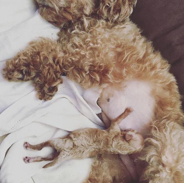 © instagram 