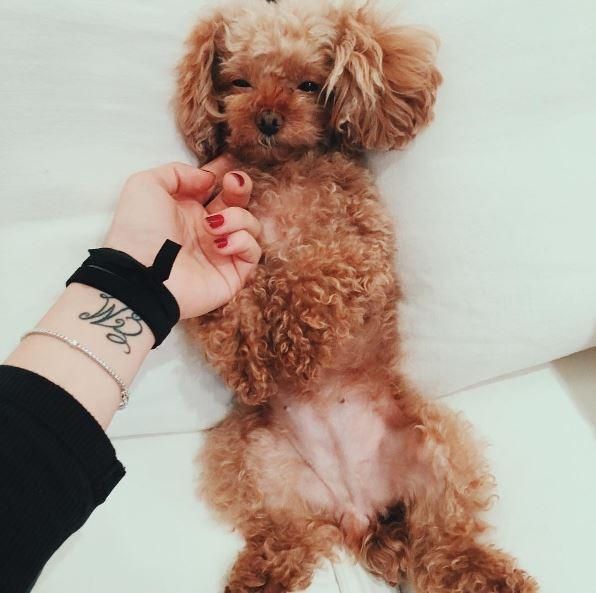 © instagram 