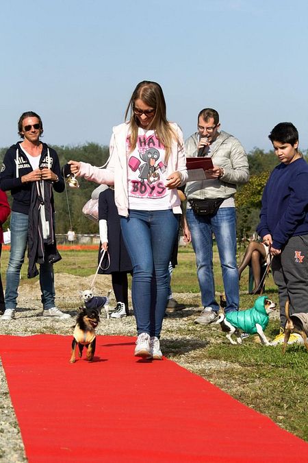 © ufficio-stampa 