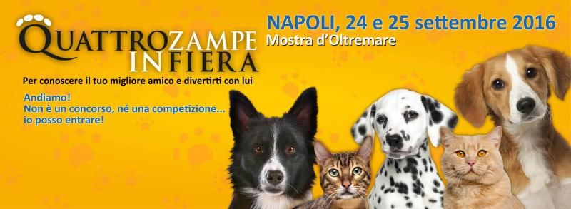 © dal-web 