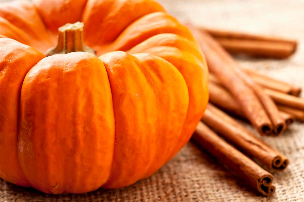 © istockphoto  | FESTIVAL DELLA ZUCCA - Levico Terme -  Trento 