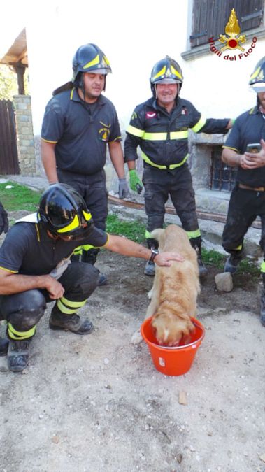 © vigili-del-fuoco 