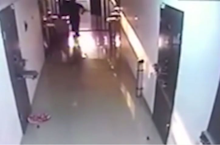 © da-video 