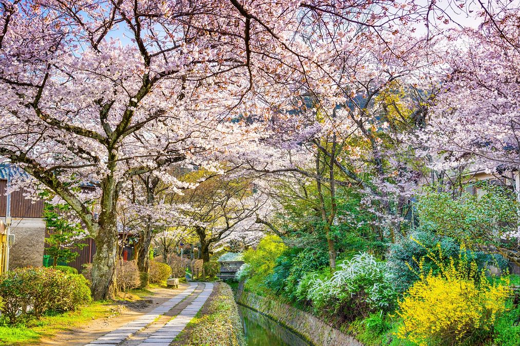 © istockphoto 
