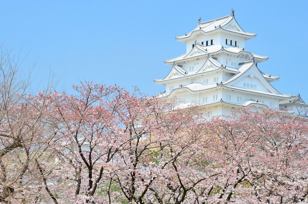 © istockphoto 
