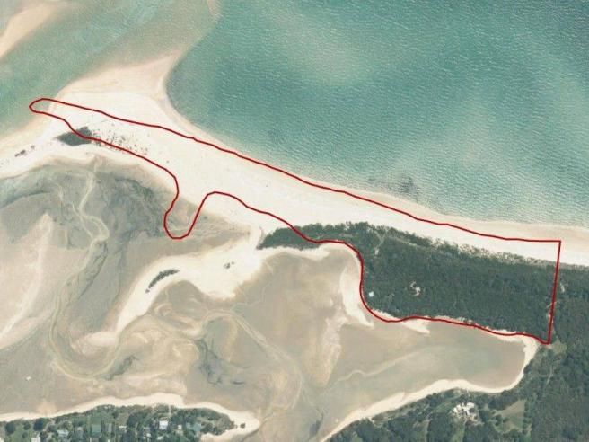 © facebook  | La spiaggia bianca di Abel Tasman, in Nuova Zelanda