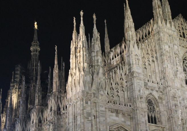 © ufficio-stampa  | 
   