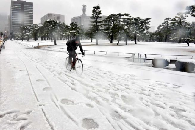 © -afp  | 
   