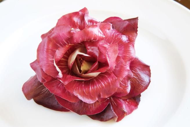 © ufficio-stampa  | 
      Una prelibatezza esclusivamente goriziana, il radicchio Rosa di Gorizia
   