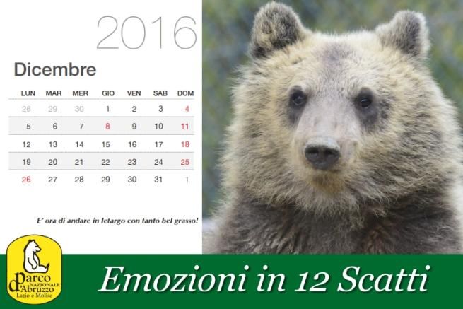 © sito-ufficiale  | 
   
