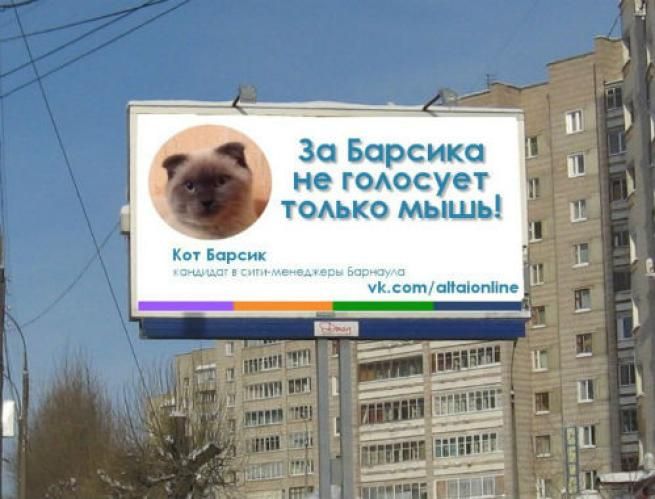 © web  | 
   